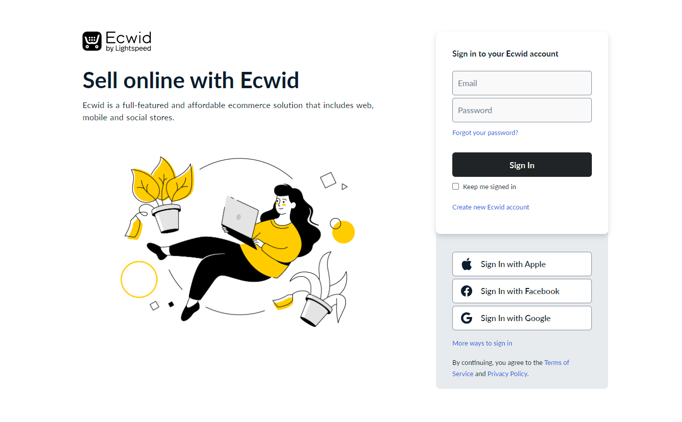 Ecwid store login and password fields in Keysender
